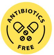 product-177-180 product-177-180